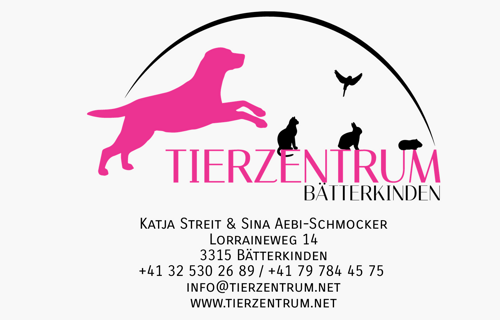 Herzblut für Hunde