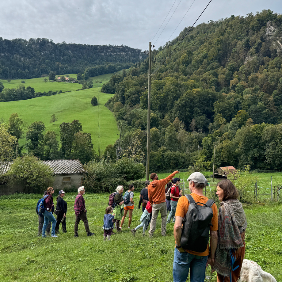 Geführter Hofbesuch mit Znüni mit bis zu drei deiner liebsten Personen