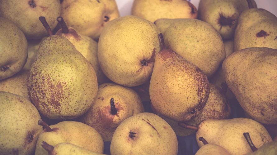 Ökologischer Obstgarten mit bedrohten Sorten