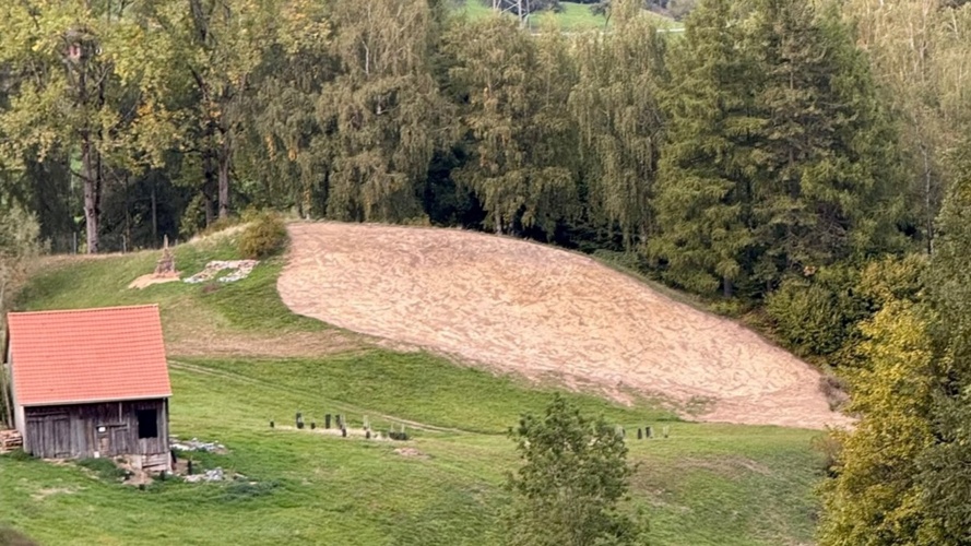 Wildblumenwiese - für Wildbienen und als Samenspenderfläche