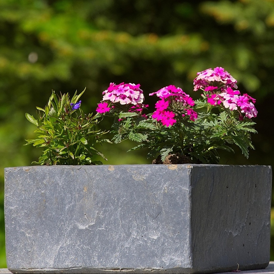 Gartentopf für Kräuterbeet