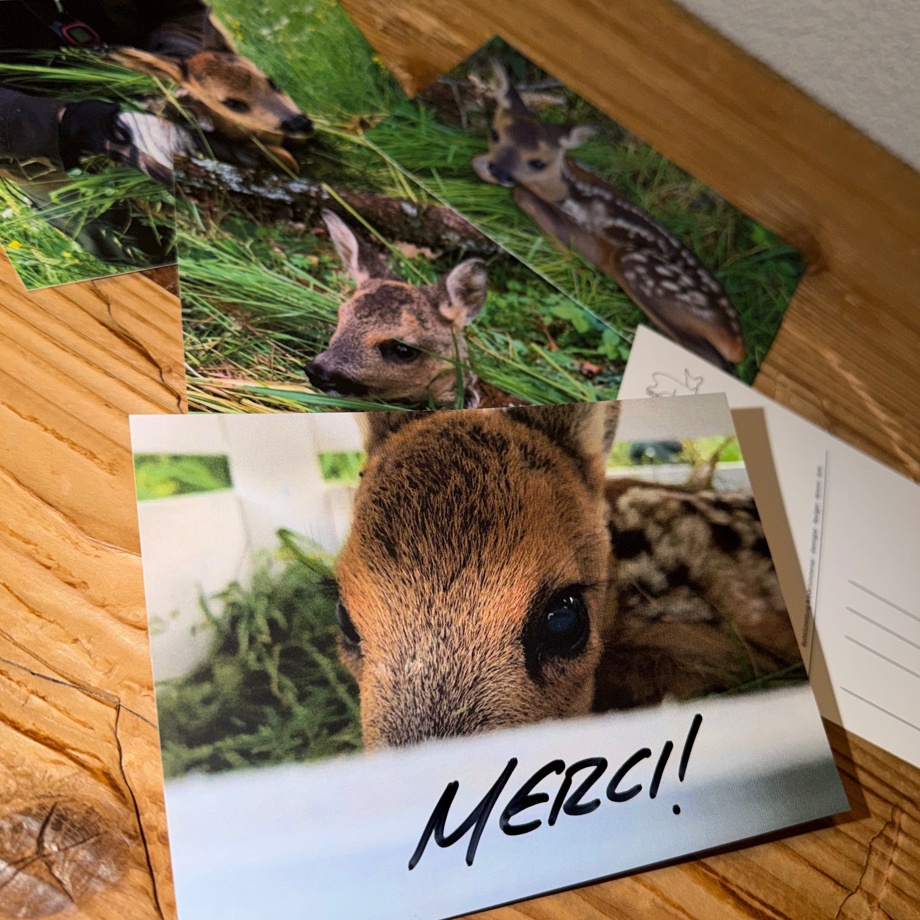 Namenserwähnung Webseite, Dankes- & Postkarten