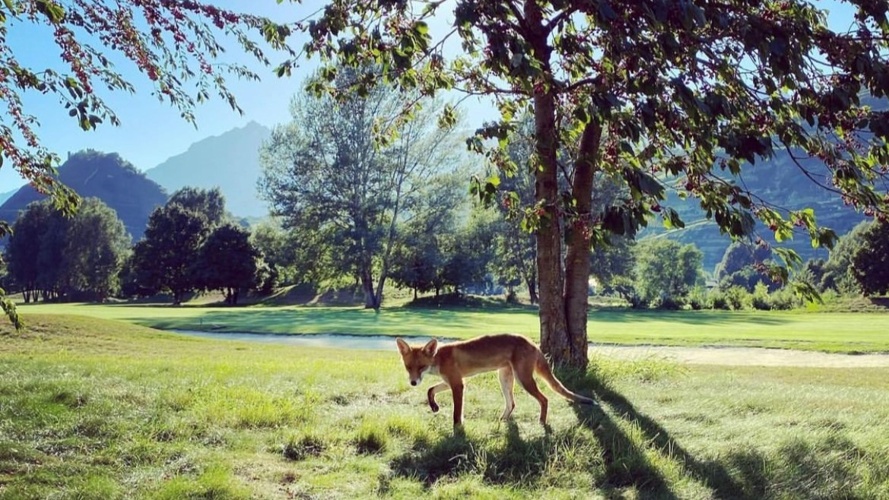 Un engagement vers la durabilité - Association du golf de Sion