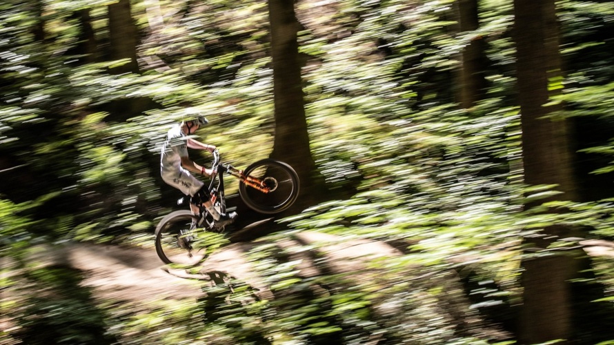 Biketrail Höckler am Uetliberg
