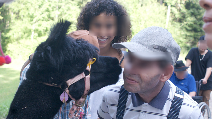 lamas & alpagas au soutien de ceux qui en ont besoin