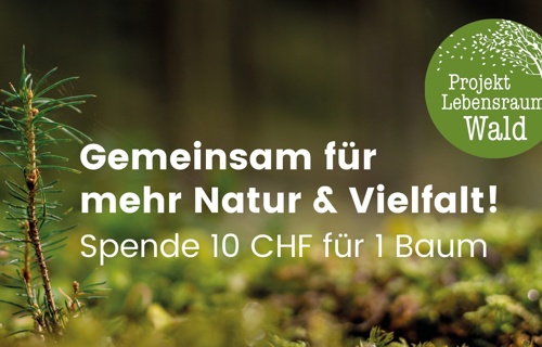 Projekt Lebensraum Wald