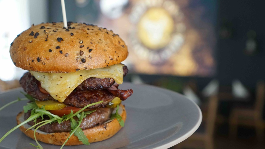 Stadtgarten Wangen - StartUp Support