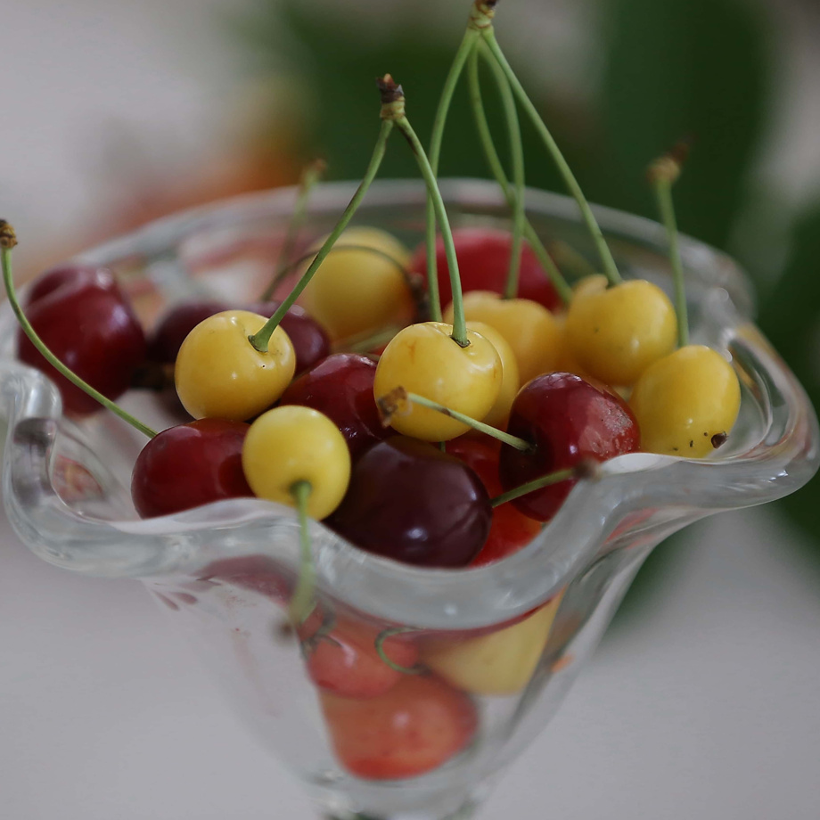 Obstgarten Überraschungskorb