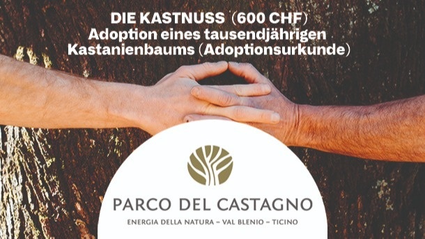 Adoptiere einen Kastanienbaum!
