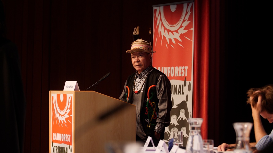 The Rainforest-Tribunal