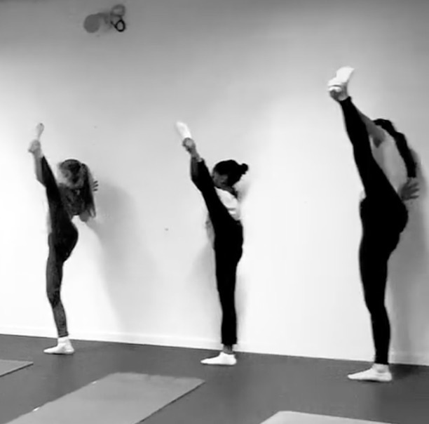 Stage souplesse/grand écart