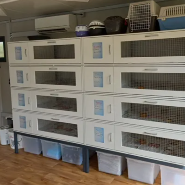 Eine stationäre Igelbox