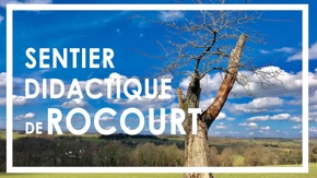Sentier didactique de Rocourt