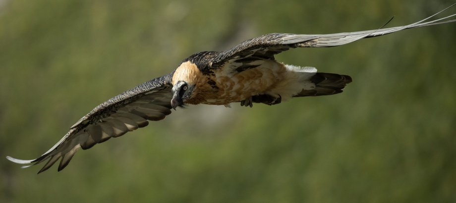 2 invitations à l'avant-première