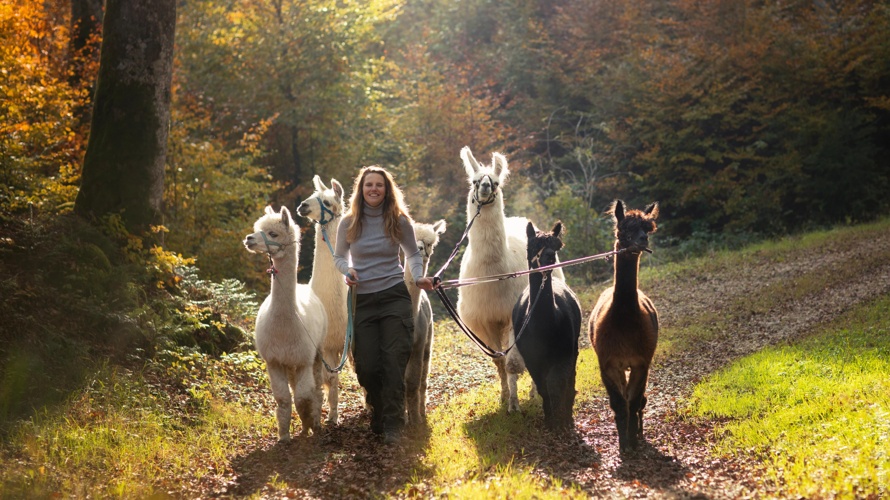 Soutien au projet Lampaga