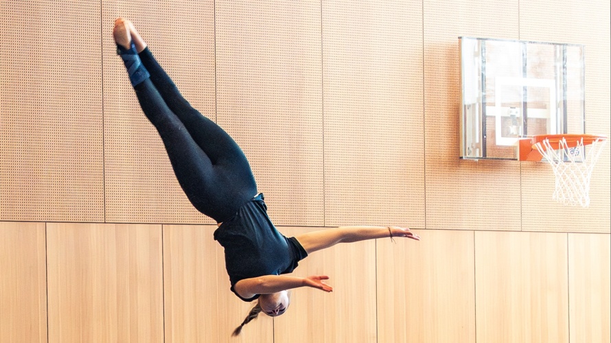 Road to Gymnaestrada