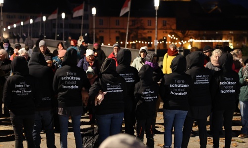 Kompromissloser Tierschutz: zweite Chancen für Tiere