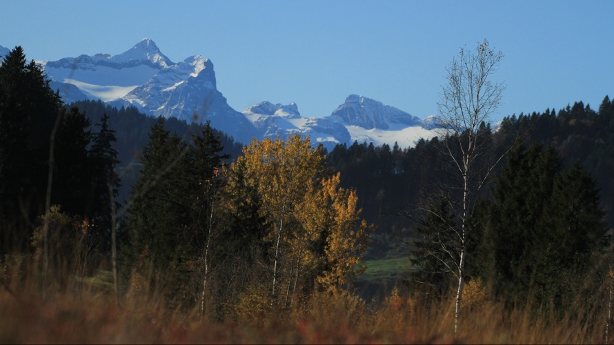 Pfadihaus Plus Rothenthurm