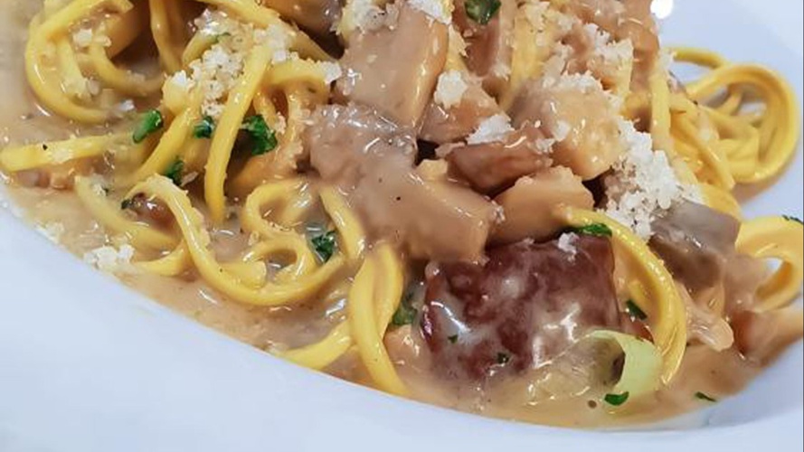 Lasst den Storchen weiterhin fliegen !!!