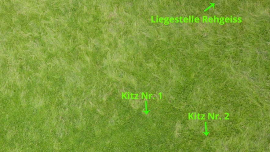 Rehkitzrettung im Toggenburg