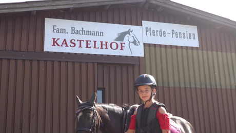 Neue Schulpferde auf dem Kastelhof