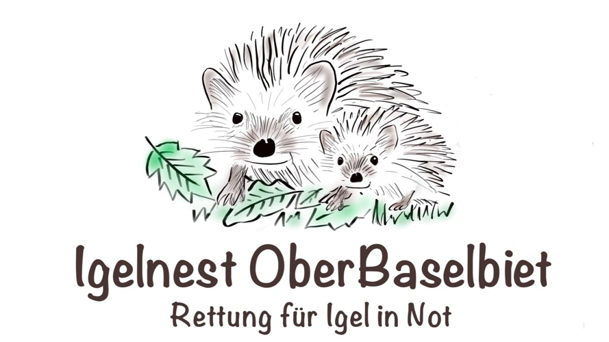 Rettung für Igel in Not