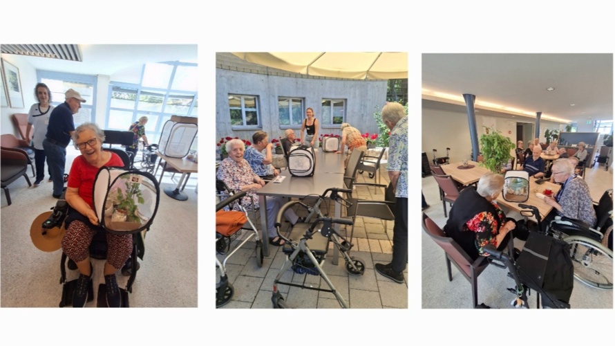 Schmetterlings Flugpate