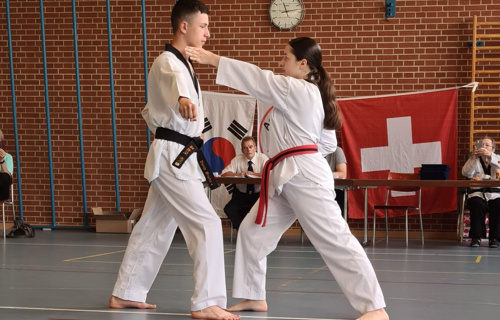 Taekwondo Team Aargau