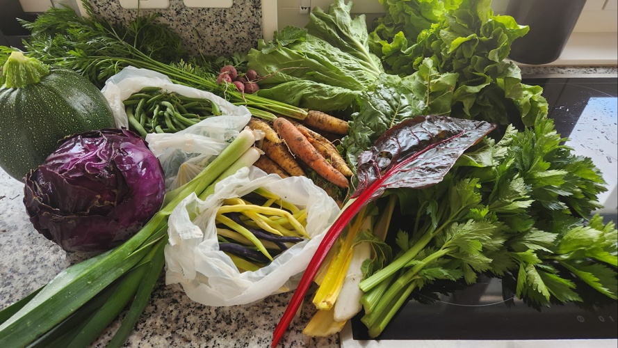 Verein "Der Kulturgarten" Appenzell