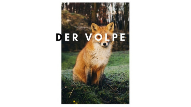 Jetzt Depressionen entstigmatisieren!