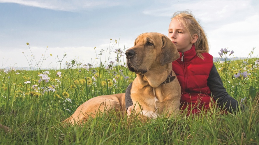 Stiftung Hund Schweiz