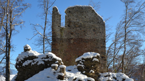 Rette den Zwinger bzw. die Stützmauer der Ruine Jagdburg