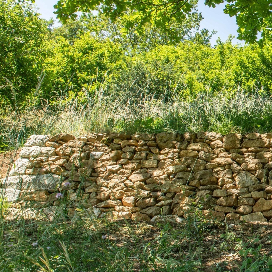 1 Stein für die Trockensteinmauer