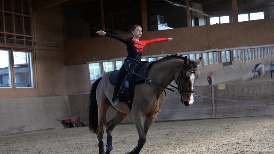 Neues Pferd für unsere Voltis