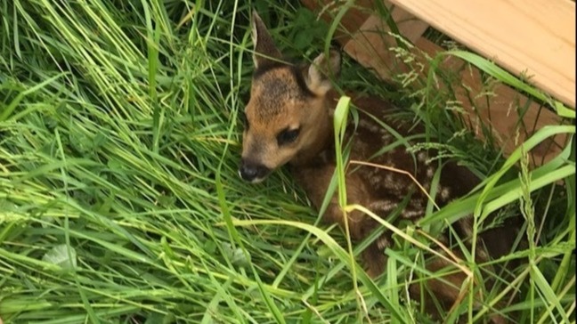 Neue Drohnen für die Region St. Gallen und Oberthurgau