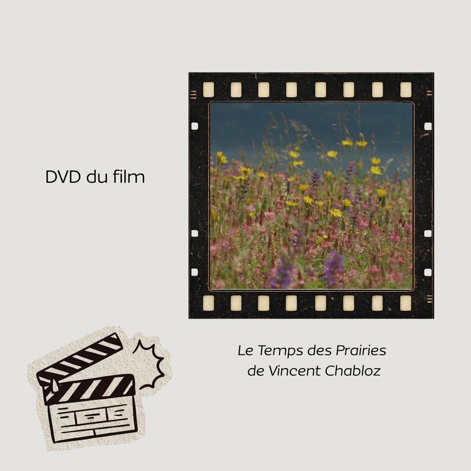 DVD du film