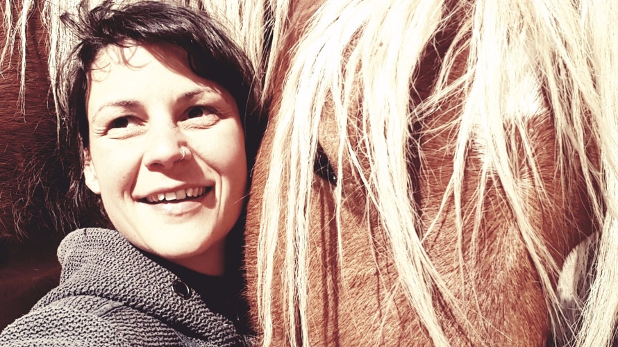 Développement de la traction animale en milieu maraîcher