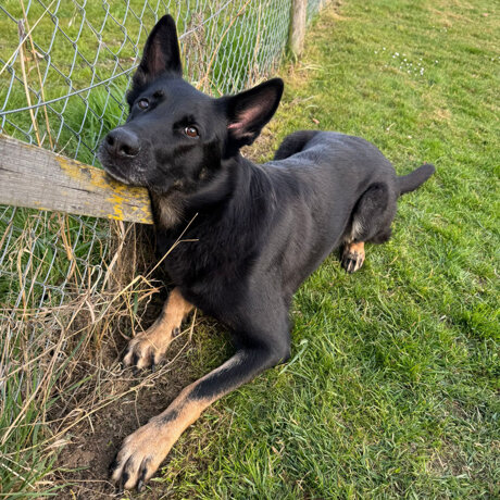 Ein erster Schritt – danke für eure Unterstützung