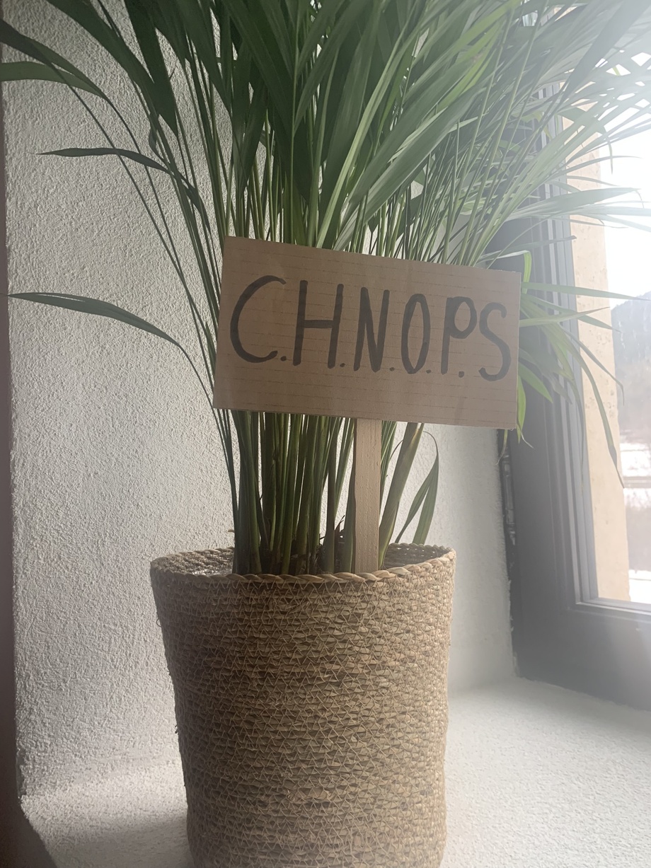 Parrainage de la plante CHNOPS