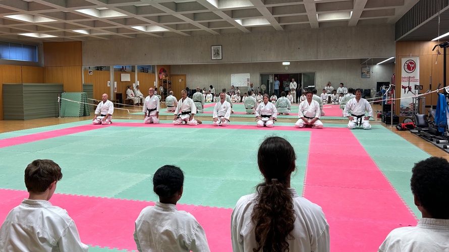 Des tatamis neufs pour le dojo du Grand-Saconnex