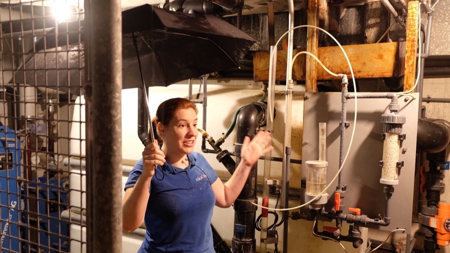 Neuer Whirlpool für Aquarina