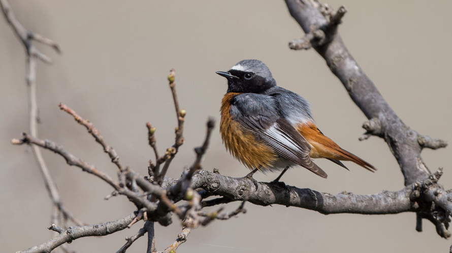 Unterschlupf im Schlipf