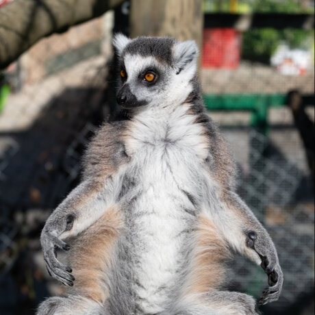 Auf geht&#039;s in die Finanzierungsphase!