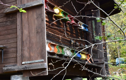 Neues Zuhause für Bienen, auch zum Beobachten
