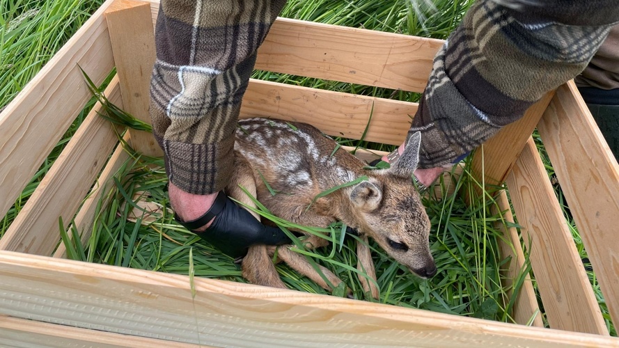Neue Drohne für Rehkitzrettung und Rehkitzrettung+