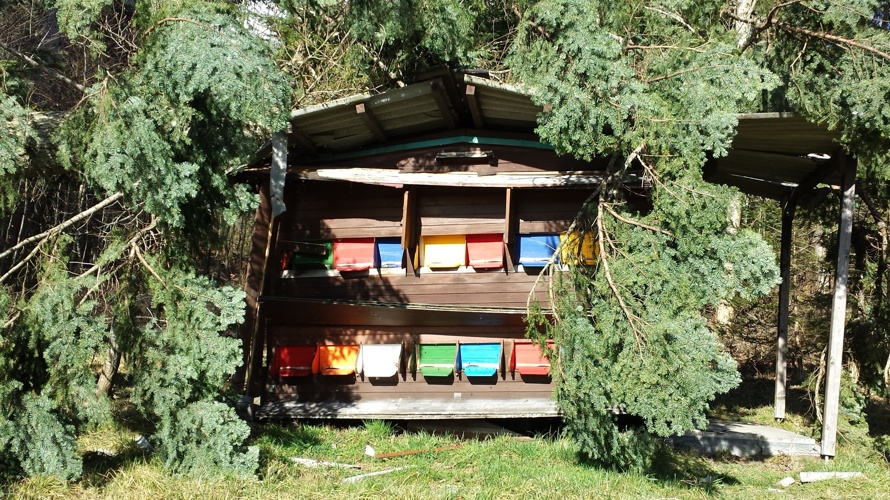 Bienenhaus-Pfannenstiel