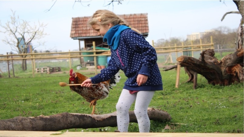 Barrierefreier Hühnerstall