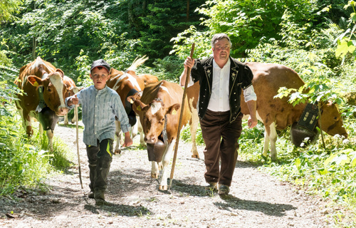 Transportbahn-Erneuerung