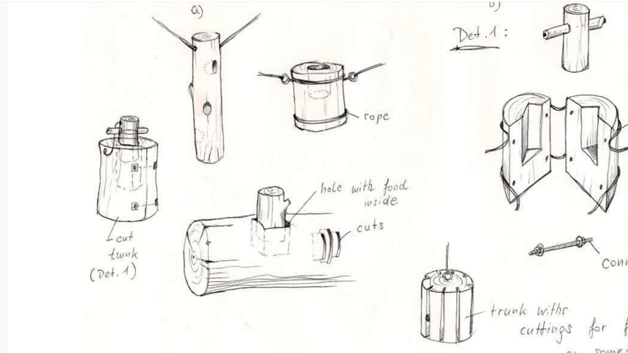 BÄREN SOLLEN IN AROSA WIEDER WAS ZU LACHEN HABEN