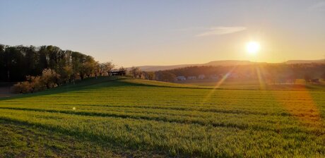 Chruut und Rüebli News